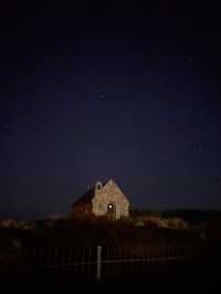 念願のTekapo⛪️⭐️ルピナスが咲き誇ってた!