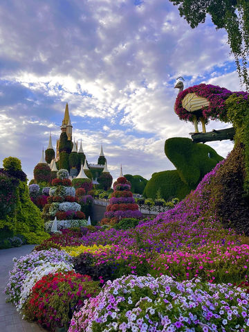 DUBAI MIRACLE GARDEN: A FLOWER UNIVERSE IN THE MIDDLE OF THE DESERT DUBAI MIRACLE GARDEN: A FLOWER UNIVERSE IN THE MIDDLE OF THE DESERT