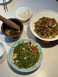 茄子恰恰 Eggplant Cha Cha