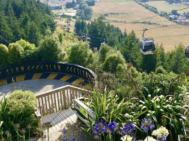 Rotorua天際纜車Skyline:高空賞Lake Rotorua+體驗刺激活動🏞️🚠 Rotorua天際纜車Skyline:高空賞Lake Rotorua+體驗刺激活動🏞️🚠