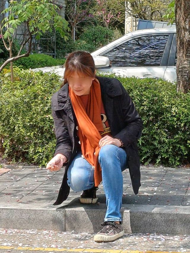 在安靜的巷弄裡,當個無聲的過客 在安靜的巷弄裡,當個無聲的過客