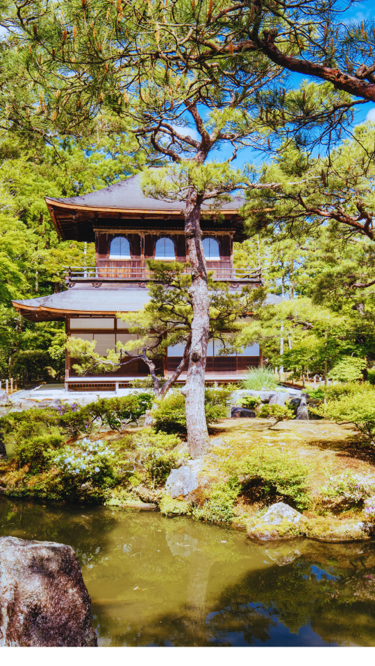鹿苑寺金閣 金閣寺(鹿苑寺) | 観光情報 | 京都に乾杯