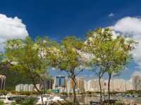 Where Concrete Meets Tide: The Unassuming Poetry of Castle Peak Bay Waterfront Promenade
