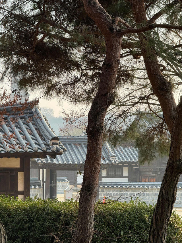 Historic Calm Vibes🏯 Historic Calm Vibes🏯