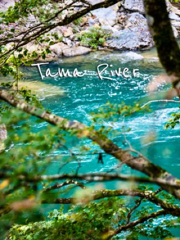 🌿 터널의 비밀과 화학적 푸른색, 타마 강의 색조.