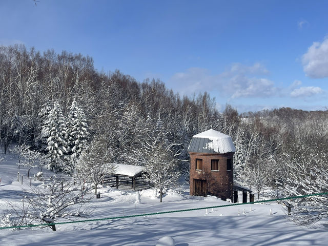晴天出發～國營瀧野鈴蘭丘陵公園探索旅