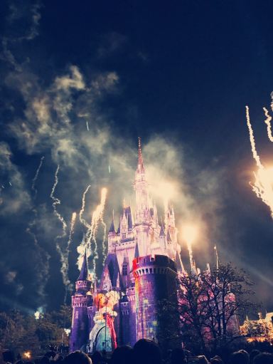 光と影の饗宴】東京ディズニー：煌めくエレクトリカルパレードと夜空の