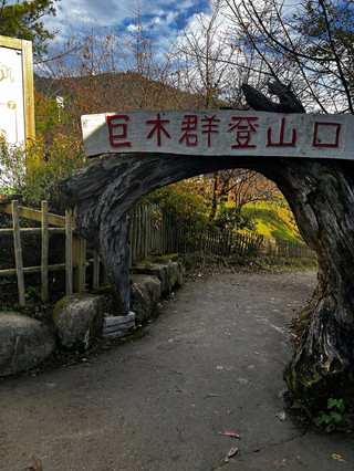 新竹尖石｜司馬庫斯  被稱為「上帝的部落」，不是沒有原因