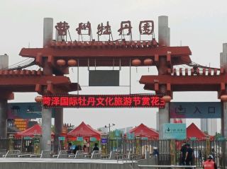 曹州牡丹甲天下，獨佔人間第一香