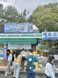 제주 올레길을 걷다가 들르기 좋은 대표 관광지 : 정방폭포 🌊