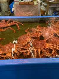 🇯🇵 🦀 Otaru’s Perfect One-Day Route | Sankaku Market, Otaru Aquarium & Otaru Canal ❄️