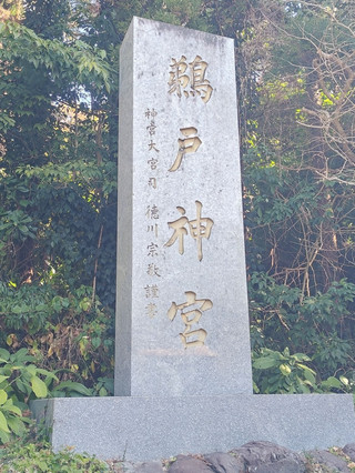 【宮崎必去深度遊】建在懸崖天然海蝕洞裡的奇蹟神社!鵜戶神宮絕景體驗&實用交通指南