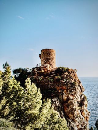 Menagesha Suba Forest and the Entoto Cliff That Overlooks Addiseasytravelpost #Menagesha #SubaFores