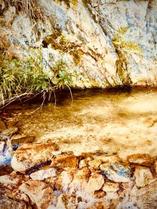 Turkey Kaçkar Mountains Ayder Plateau Mossy Cloud Foresteasytravelpost #Kackar #AyderPlateau #Cloud
