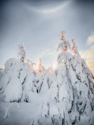 🏔️🌲 Fichtelberg – Germany’s Mountain of Endless Views 🌲🏔️