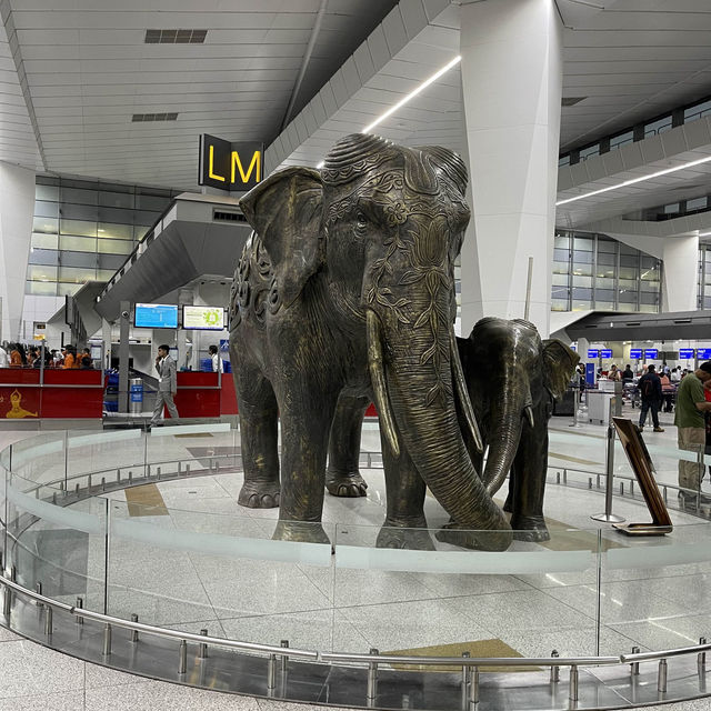 Indira Gandhi international airport India 