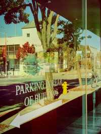 Hunting the beauty of the Fall in a window……