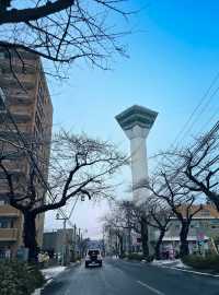 五稜郭塔 🌟  俯瞰星形要塞，探索函館的歷史與文化
