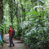 In search of Sloths 