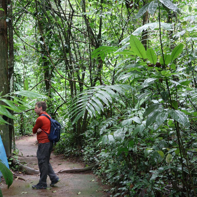 In search of Sloths 