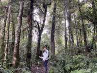 Hiking Mt. Apo Philippines 