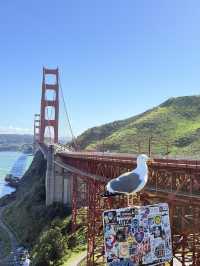 Golden Gate Vista Point