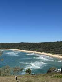 Beautiful National Park in Noosa