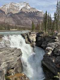5-day Itinerary in Calgary