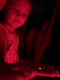 Discover Nature Magic at Naga🌳🌋💦