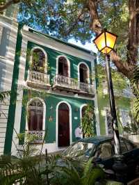 Tropical Dreamscape🌴