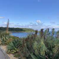 Falmouth seafront promenade 