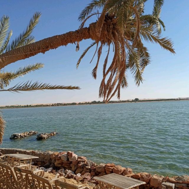 Paradise of Egypt, Siwa Oasis