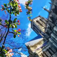 🏰城牆之城🏰～York