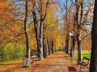 Autumn vibes in Stadtpark Graz 🌺