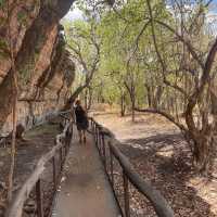 Kakadu National Park 🌳🌴
