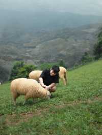 Akha Farmville