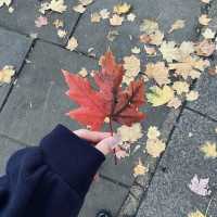 London in Fall: A City Transformed
