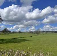 The happiest place in England 