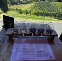 Waiheke island winery tour