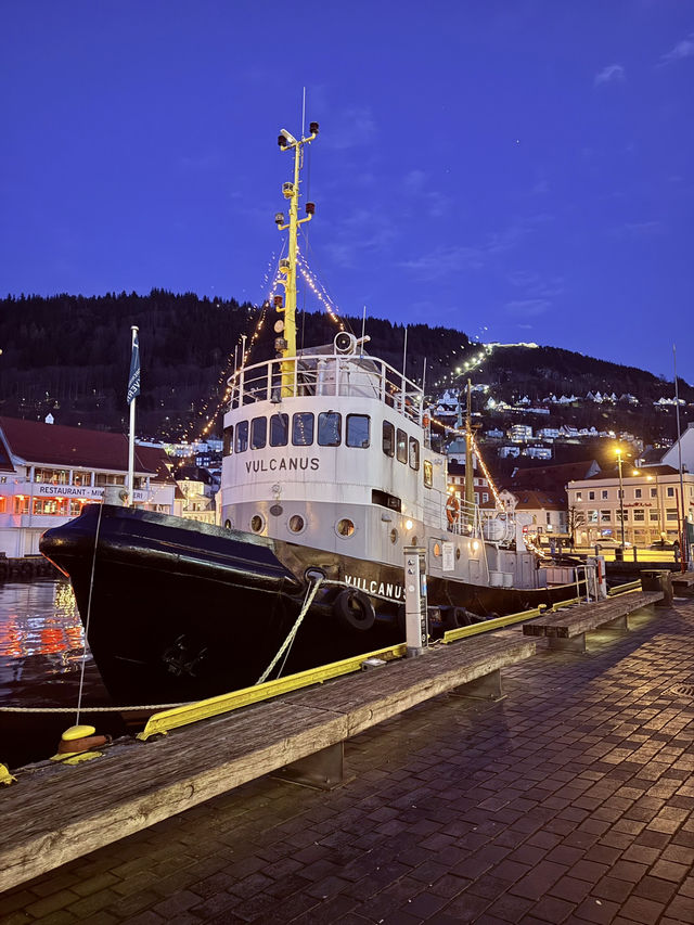Bergen’s Magical Night Views🌃