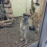 Tallinn Zoo - Estonia