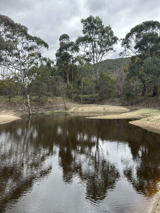⛰️🚴 Explore You Yangs Regional Park: Hiking & Biking Among Ancient Granite Peaks