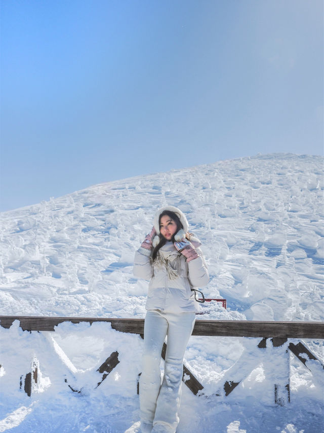 絕美藏王樹冰