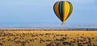5 Days Tanzania Safari from Zanzibar