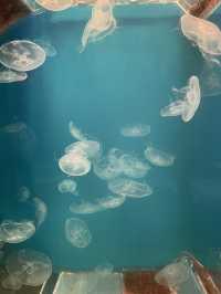 Primorsky Oceanarium