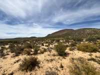 Aquila Game Reserve Safari