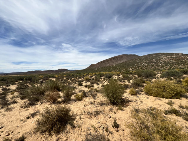 Aquila Game Reserve Safari
