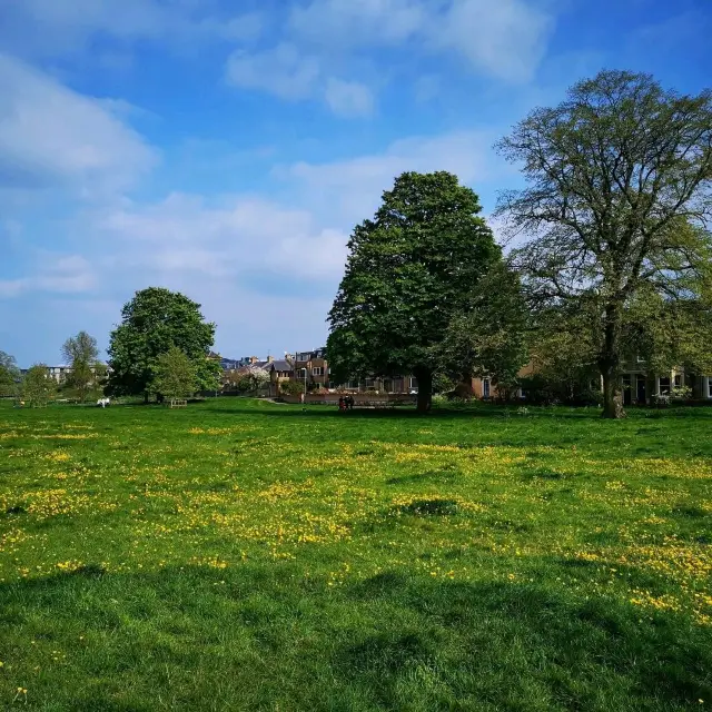 Cambridge Spring City Walk – Where Time Slows Down