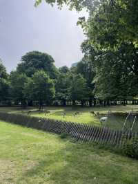 My trip to Den Haag 