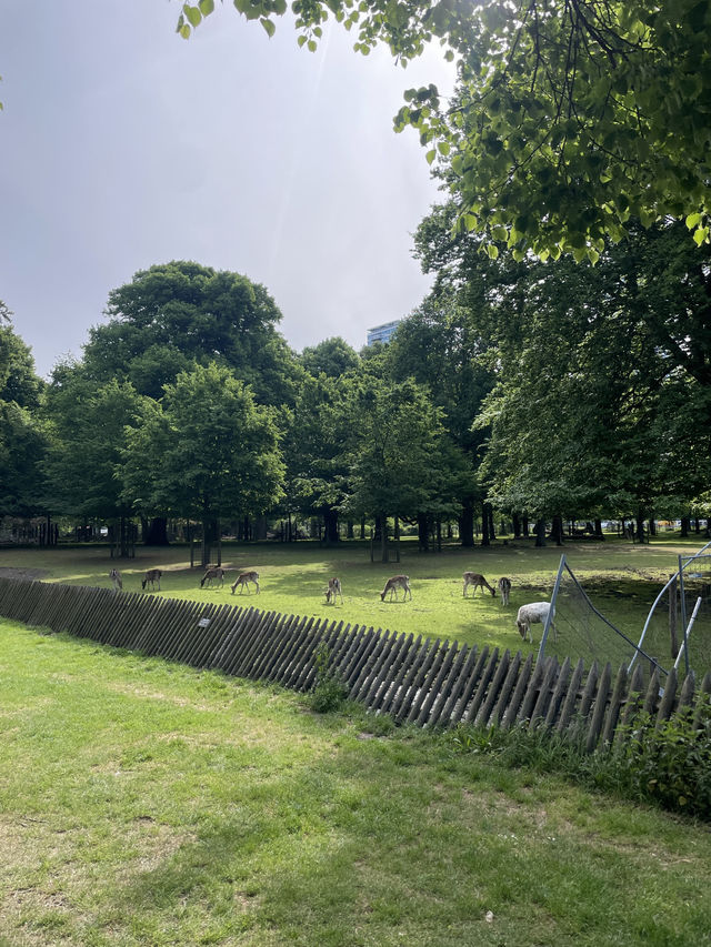 My trip to Den Haag 